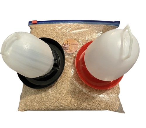 Quail chick chicken feeder - /,