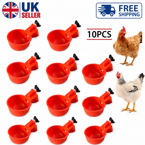 Automatic chicken water cup - 10,