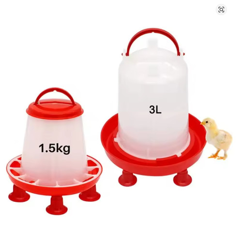 Chicken poultry feeder - poultry,