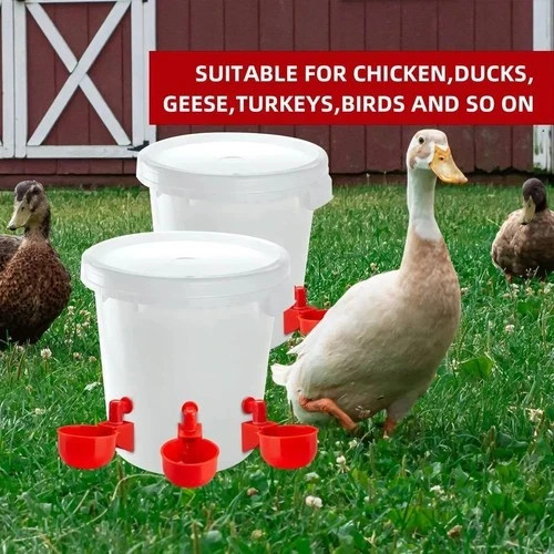 Automatic chicken water cup - water,