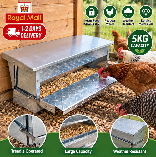Auto chicken treadle feeder - chicken,