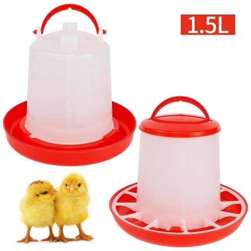 Chicken poultry feeders - chicken, or