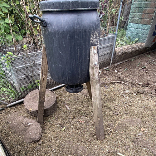 Plastic barrel chicken feeder - chicken,