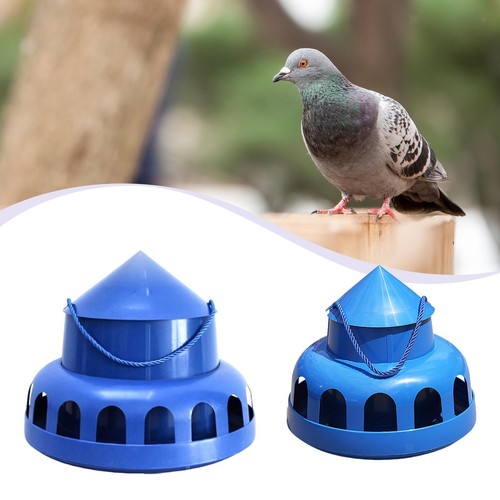 Chicken feeder automatic - chicken,