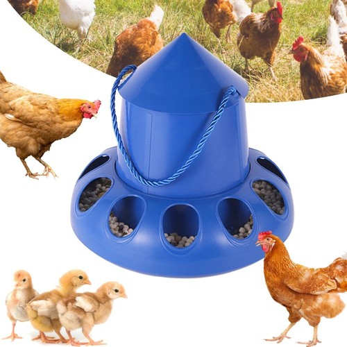 Chicken feeder automatic bird - chicken,