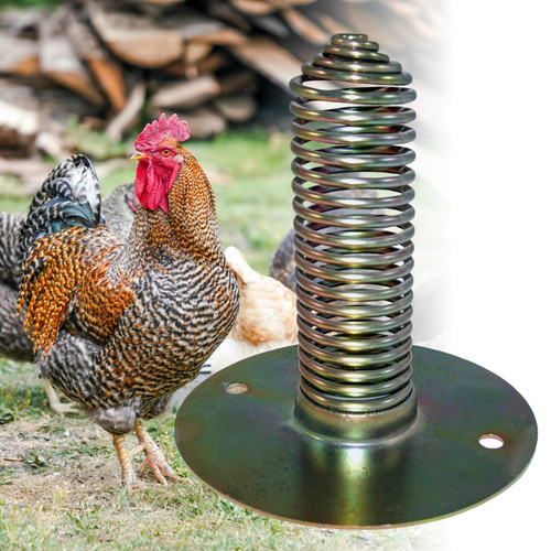 Poultry spiral spring feeder - poultry,