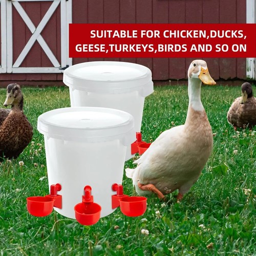 Automatic chicken water - 6x,