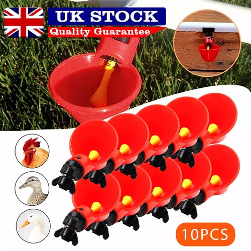 10pcs automatic feeder - 10pcs, poultry