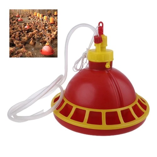 Automatic poultry water - automatic,