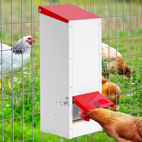 Muyirted chicken feeder - chicken,