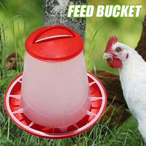 Automatic poultry feeder - automatic,
