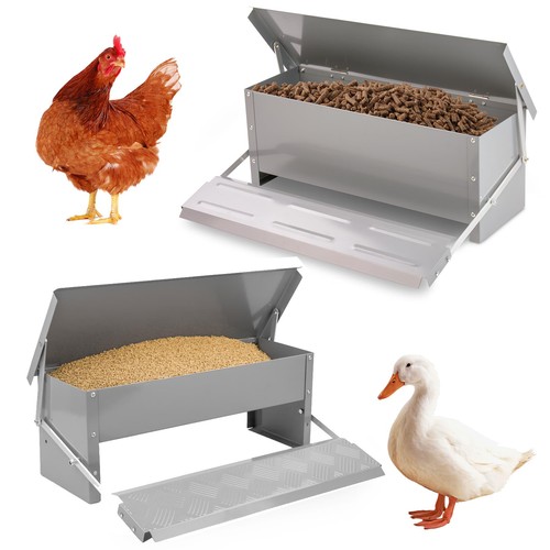 Auto chicken treadle - chicken, feeder