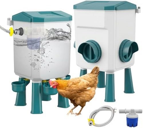 Automatic chicken feeder and - chicken,