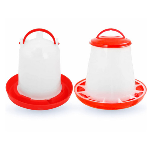 Chicken poultry feeder drinker - chicken,
