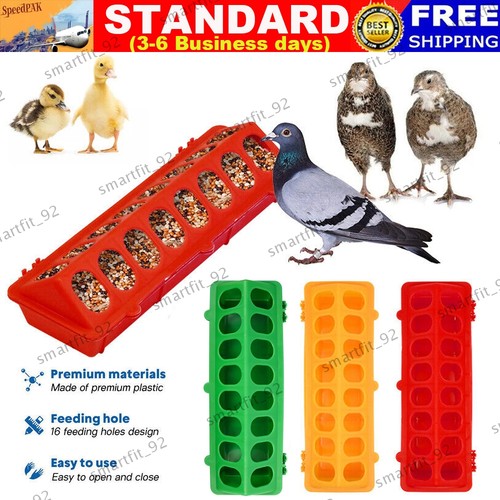 Small chick feeder waterer - feeder,