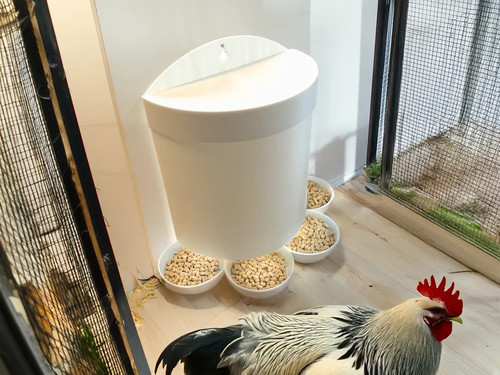 Wall mounted chicken feeder - wall,