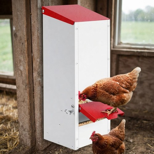Automatic 3kg chicken feeder - chicken,