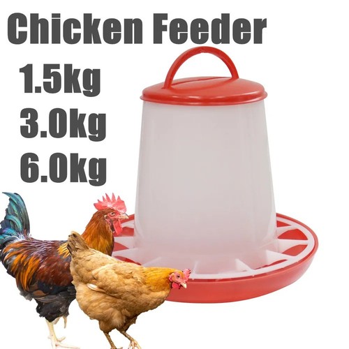 Chicken poultry feeders - feeders, or