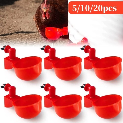 Automatic chicken water cup - 10,