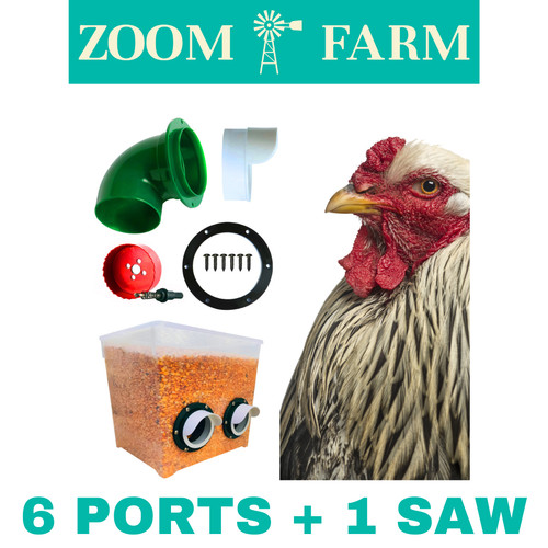 Chicken feeder kit port - chicken, 6