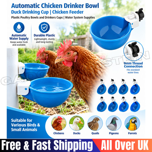 Automatic chicken water - automatic, cup