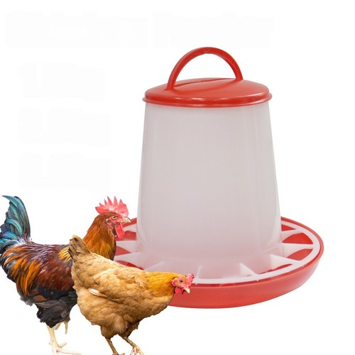 Chicken poultry feeder drinker - feeder,