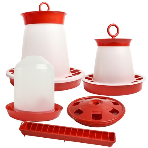 Chicken feeder drinker - chicken,