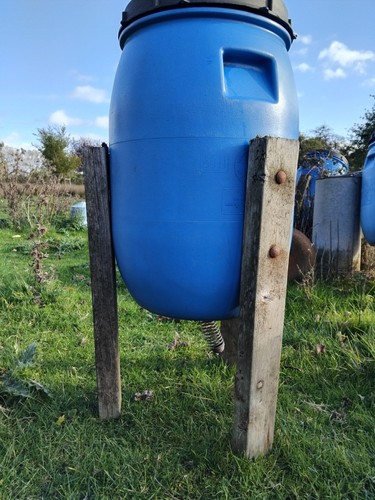 Chicken poultry feeder drinker - chicken,