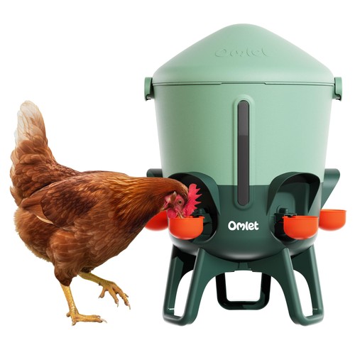 Omlet insulated chicken - insulated,