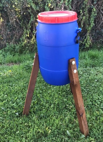 Chicken pheasant poultry - 1x,