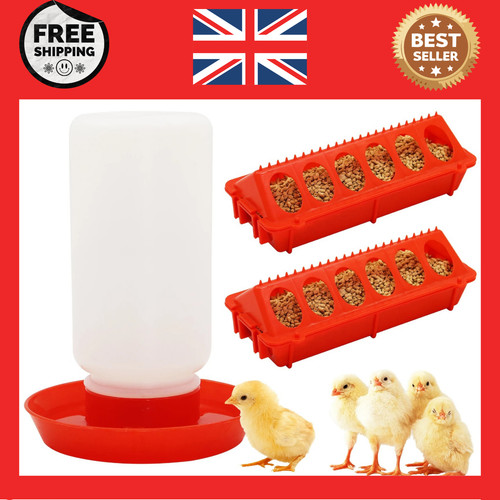 Automatic chicken feeder - chicken, &