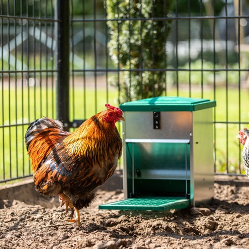 Feedomatic treadle chicken - feedomatic,