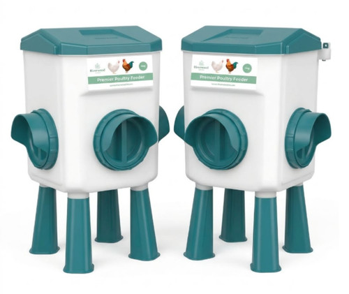 Chicken poultry feeder - chicken,