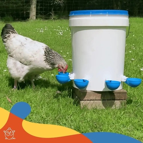 Pcs automatic poultry water - pcs,