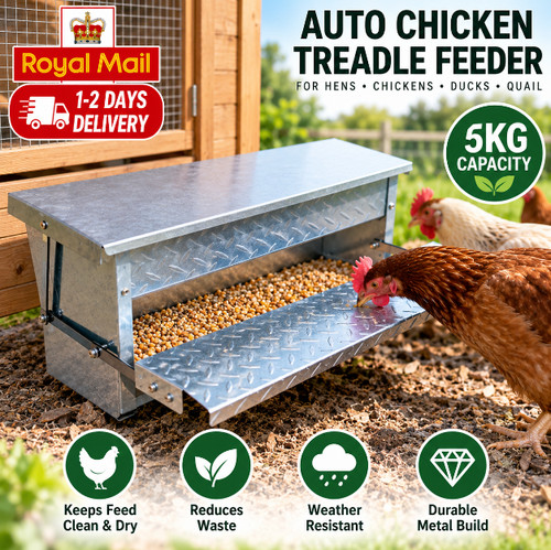 Auto chicken treadle - chicken,