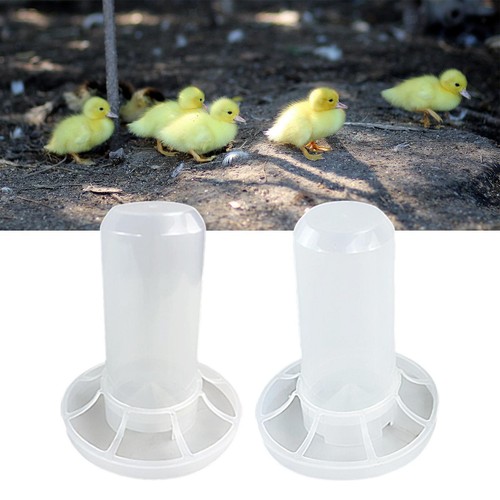 Automatic chicken feeder - chicken, with