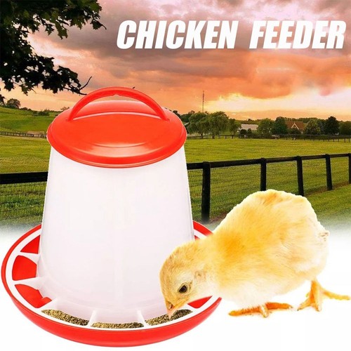Poultry feeder drinker - poultry,
