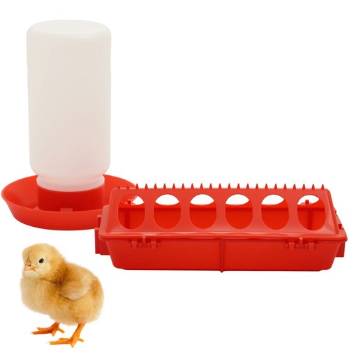 Automatic chicken feeder - automatic,