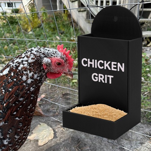 Chicken grit feeder - chicken,