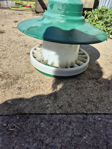 Green white plastic - white, chicken