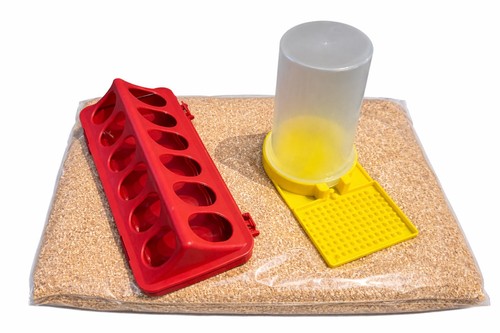 Quail chick chicken feeder - quail, &