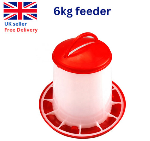 6kg kilo feeder chicken - kilo,