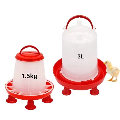 Chicken poultry feeder drinker - poultry,