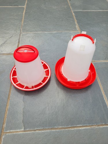 Used chicken feeder and - chicken,