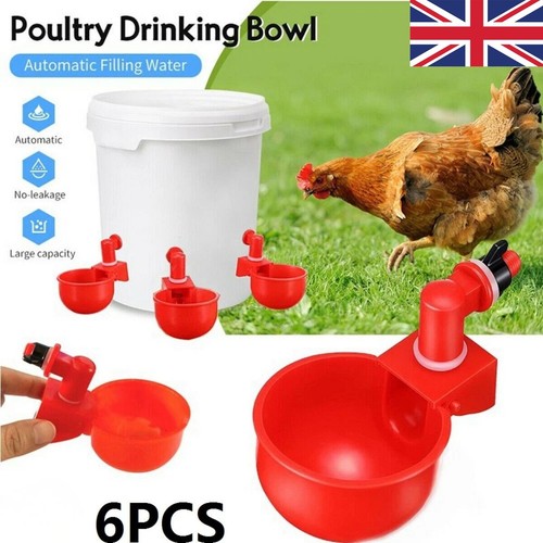 Automatic chicken water cup - chicken,