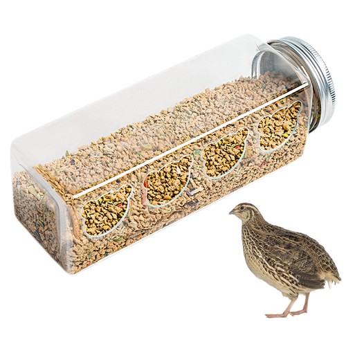 Quail feeder mess - quail, chicken