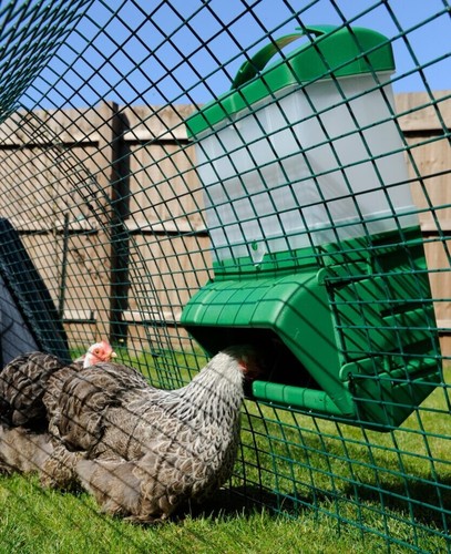 Poultry feeder 10kg - poultry, smart