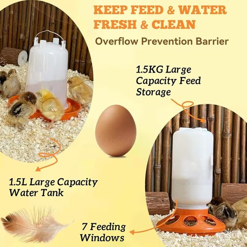 Chicken poultry feeders - poultry,