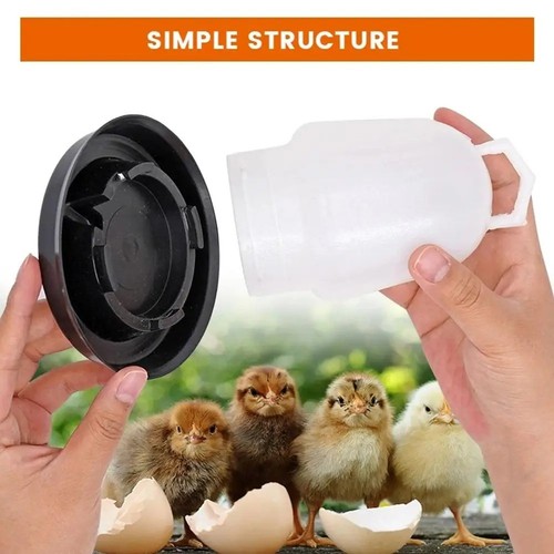 Bird drinking bowl - drinking, water