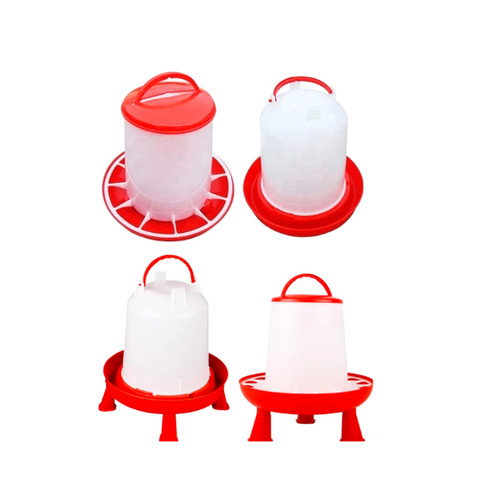 Chicken poultry feeder drinker - chicken,